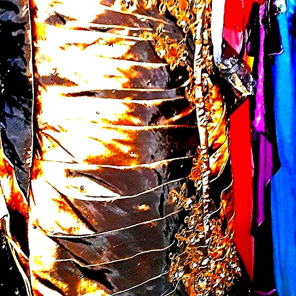 Rina DiMontella Silk Gown - Picture 9 of 10